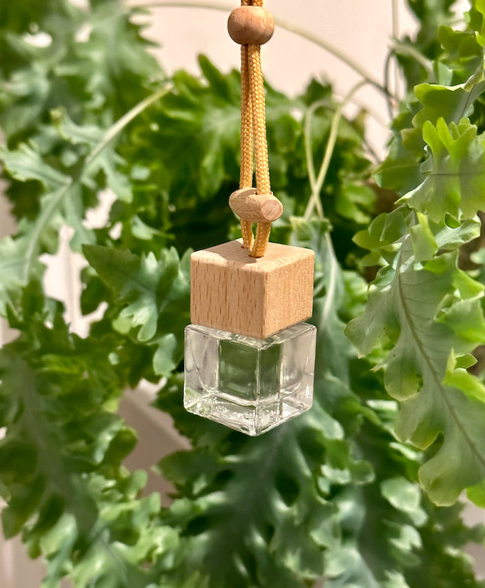 Australian Bush Car Diffuser