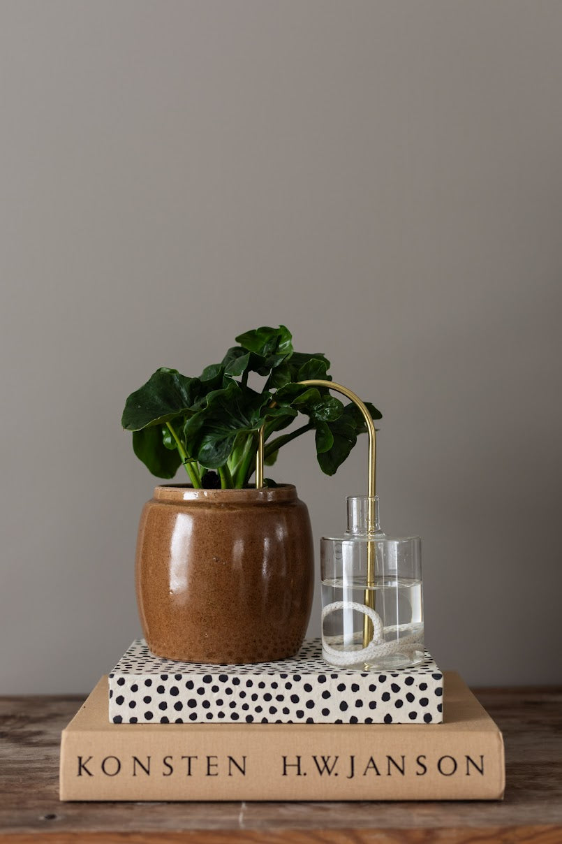 Plant Care