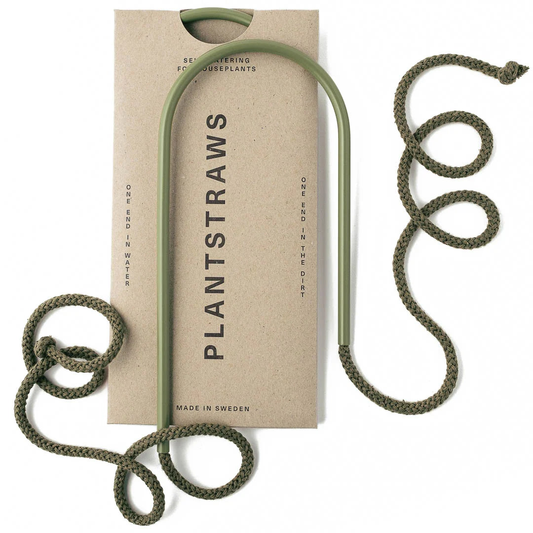 Plant Straws